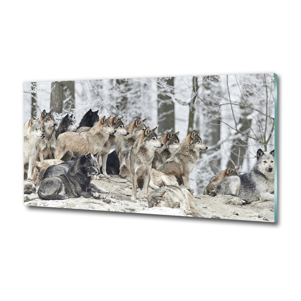 Tableau photo sur verre Loups en hiver