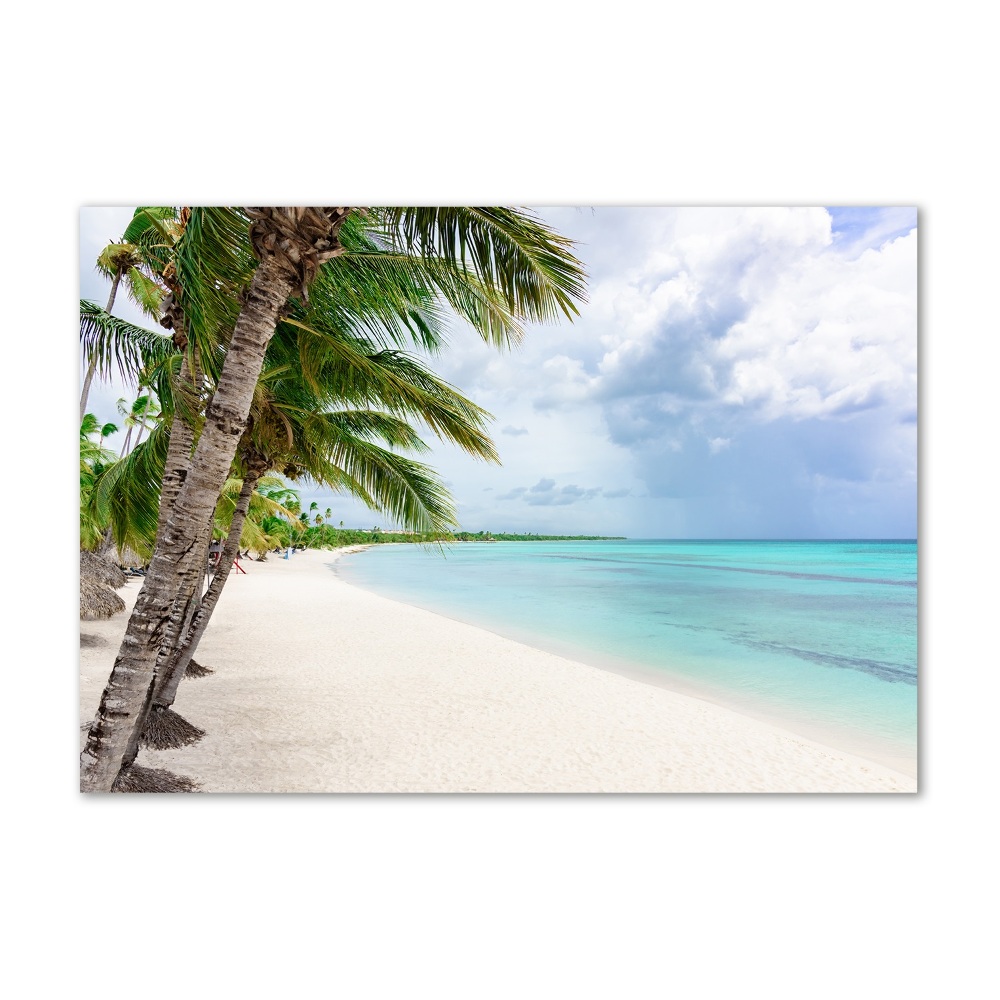 Tableau photo sur verre Plage tropicale