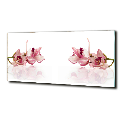 Tableau imprimé sur verre Fleur de l'orchidée