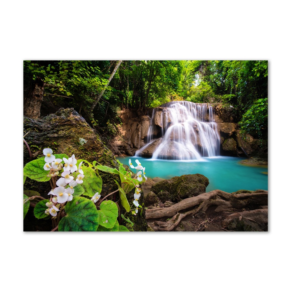 Tableau imprimé sur verre Chute d'eau en Thaïlande