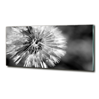 Tableau photo sur verre Les jeux gonflables