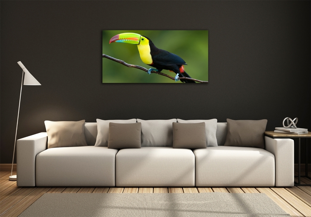 Tableau imprimé sur verre Toucan