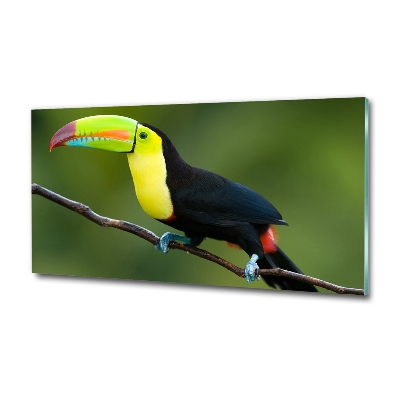 Tableau imprimé sur verre Toucan