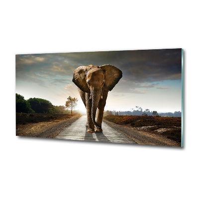 Tableau verre imprimé Éléphant qui marche