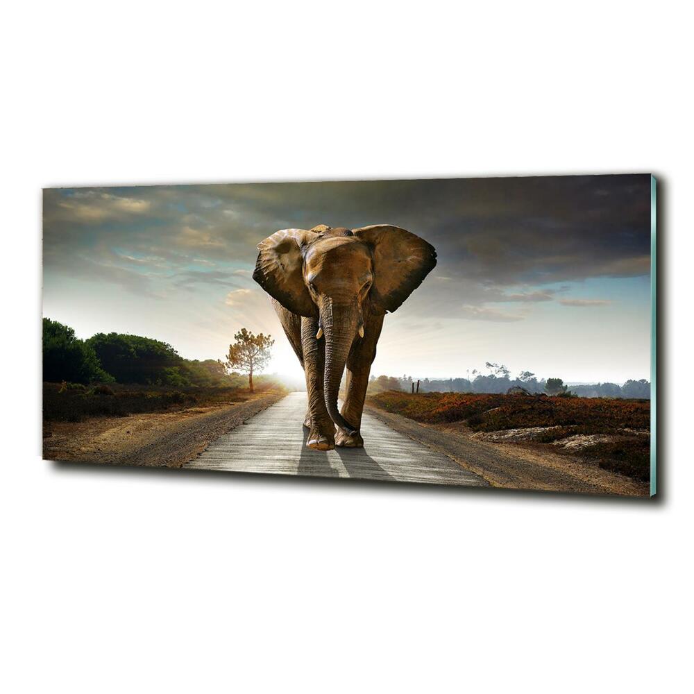 Tableau verre imprimé Éléphant qui marche