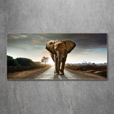 Tableau verre imprimé Éléphant qui marche