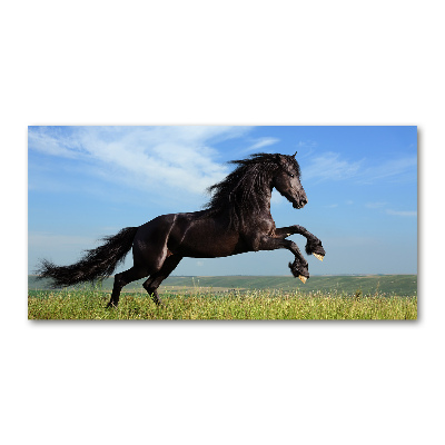 Tableau photo sur verre Cheval noir dans un pré