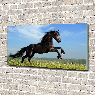 Tableau photo sur verre Cheval noir dans un pré