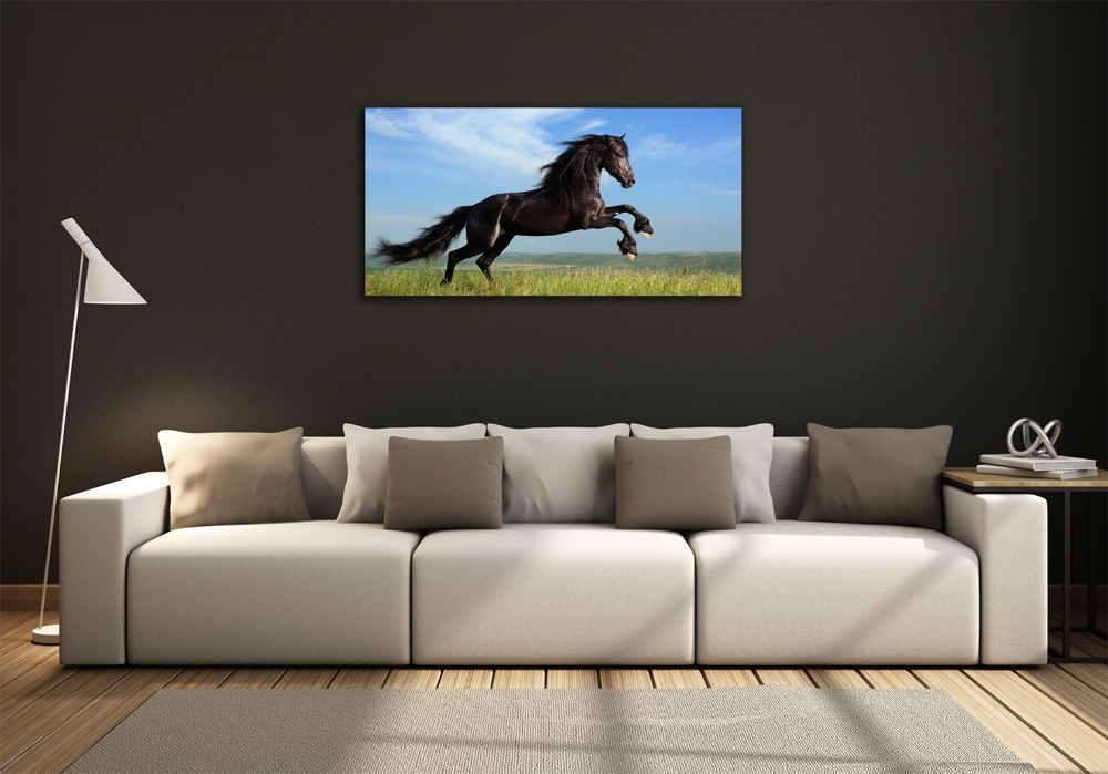 Tableau photo sur verre Cheval noir dans un pré