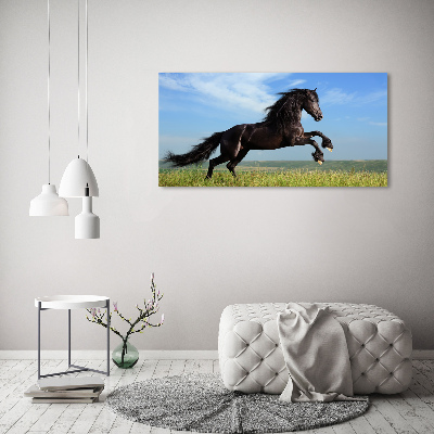 Tableau photo sur verre Cheval noir dans un pré