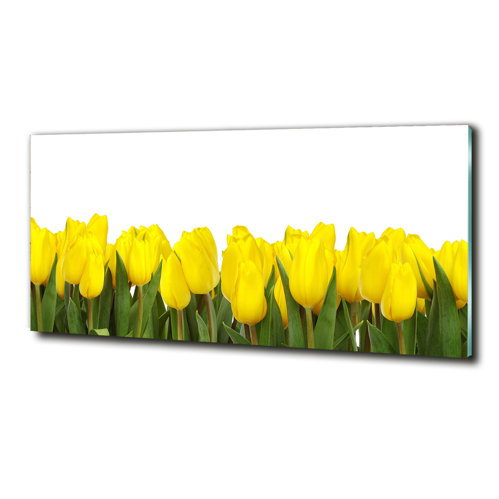 Tableau imprimé sur verre Tulipes jaunes