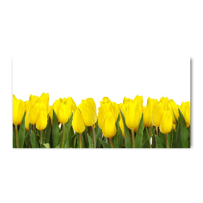 Tableau imprimé sur verre Tulipes jaunes