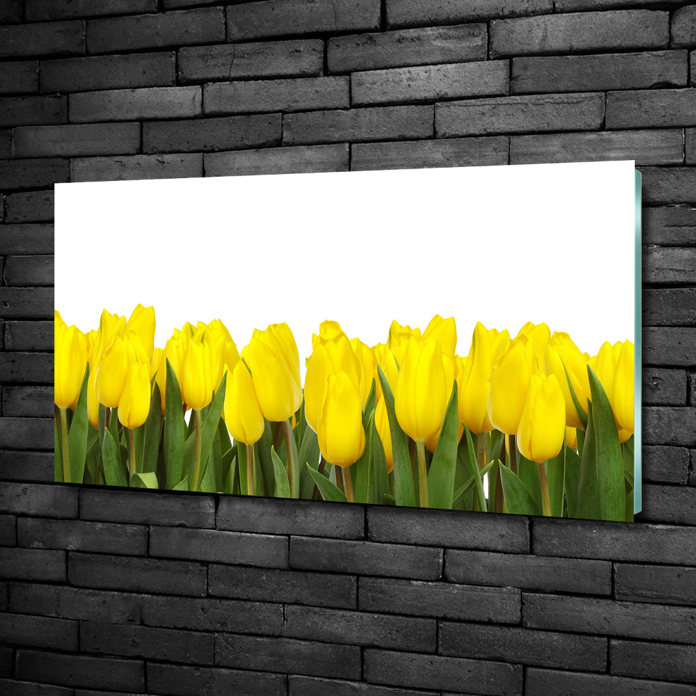 Tableau imprimé sur verre Tulipes jaunes