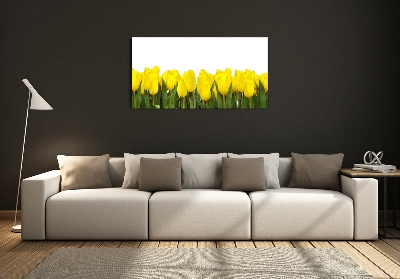 Tableau imprimé sur verre Tulipes jaunes