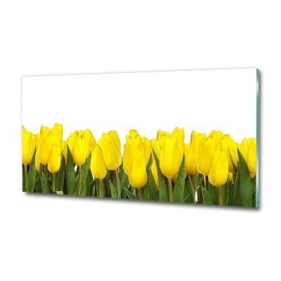 Tableau imprimé sur verre Tulipes jaunes