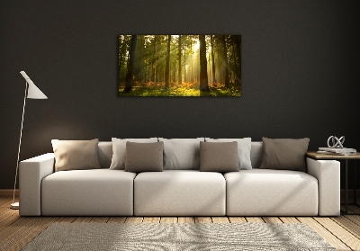 Tableau sur verre La forêt sous le soleil