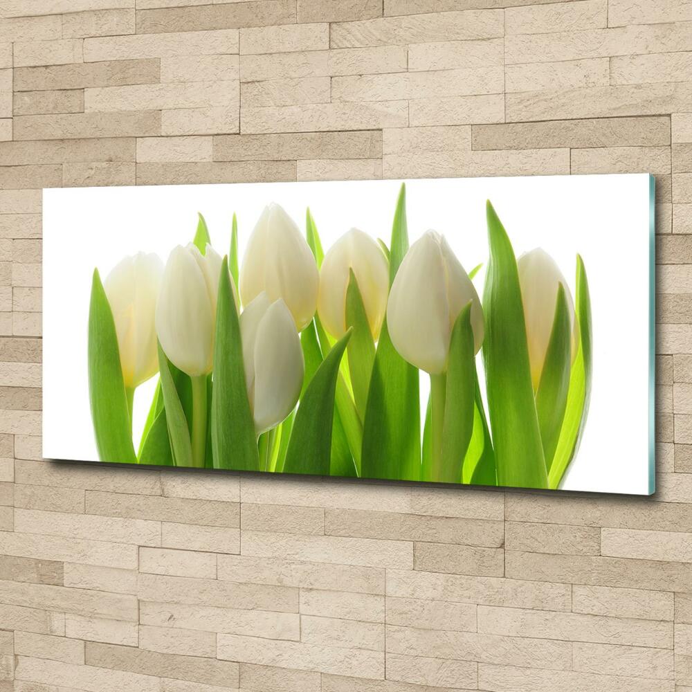 Tableau sur verre Tulipes