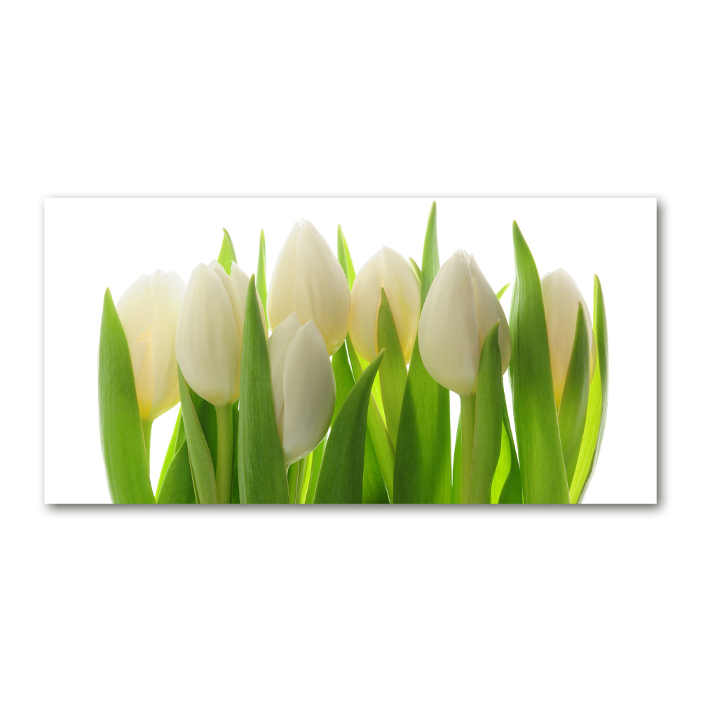 Tableau sur verre Tulipes