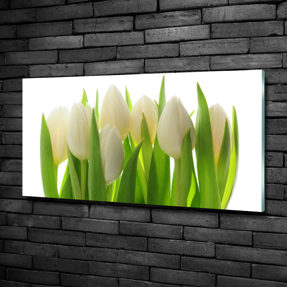 Tableau sur verre Tulipes