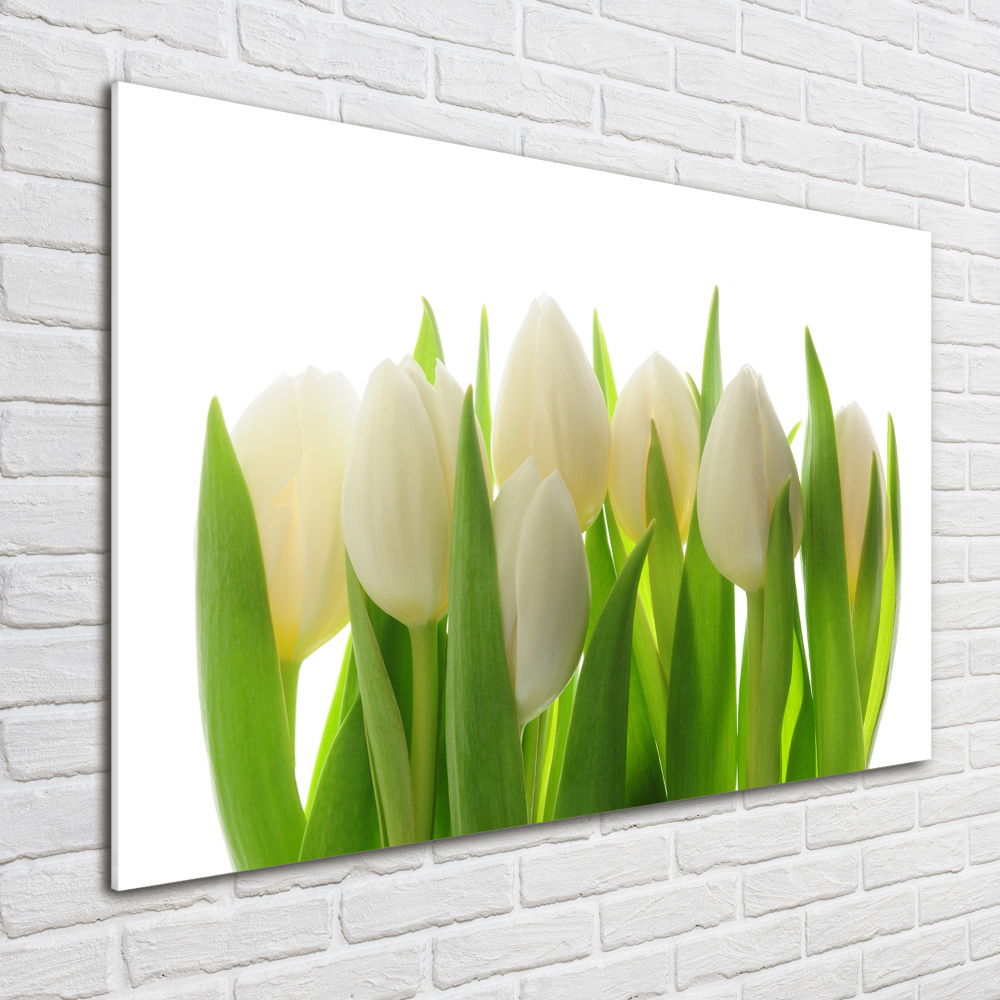 Tableau sur verre Tulipes