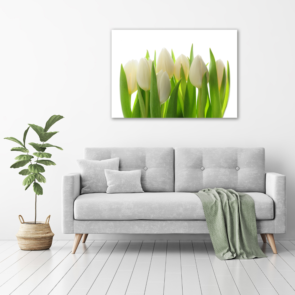 Tableau sur verre Tulipes