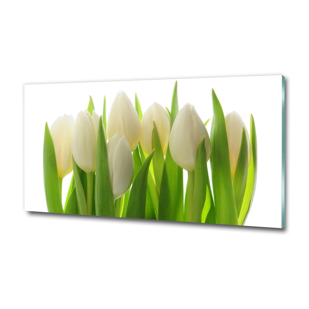 Tableau sur verre Tulipes