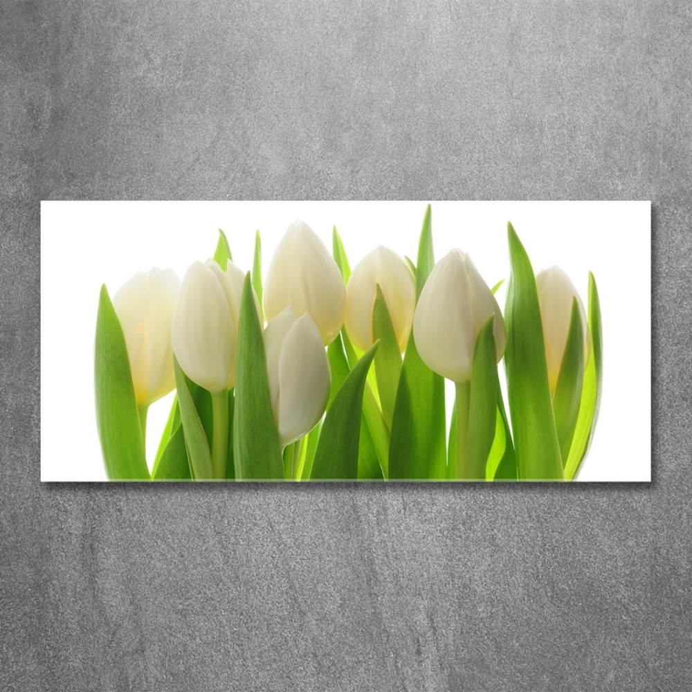 Tableau sur verre Tulipes