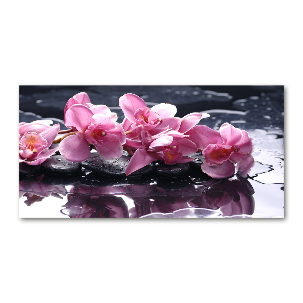 Tableau imprimé sur verre Fleur d'orchidée rose