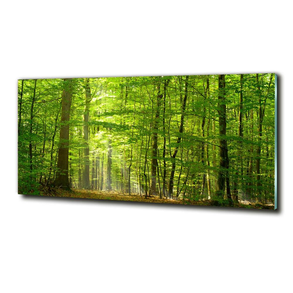 Tableau verre imprimé Forêt de feuilles