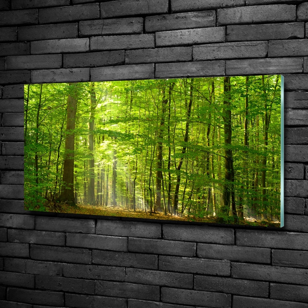 Tableau verre imprimé Forêt de feuilles