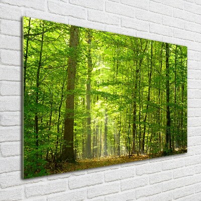 Tableau verre imprimé Forêt de feuilles