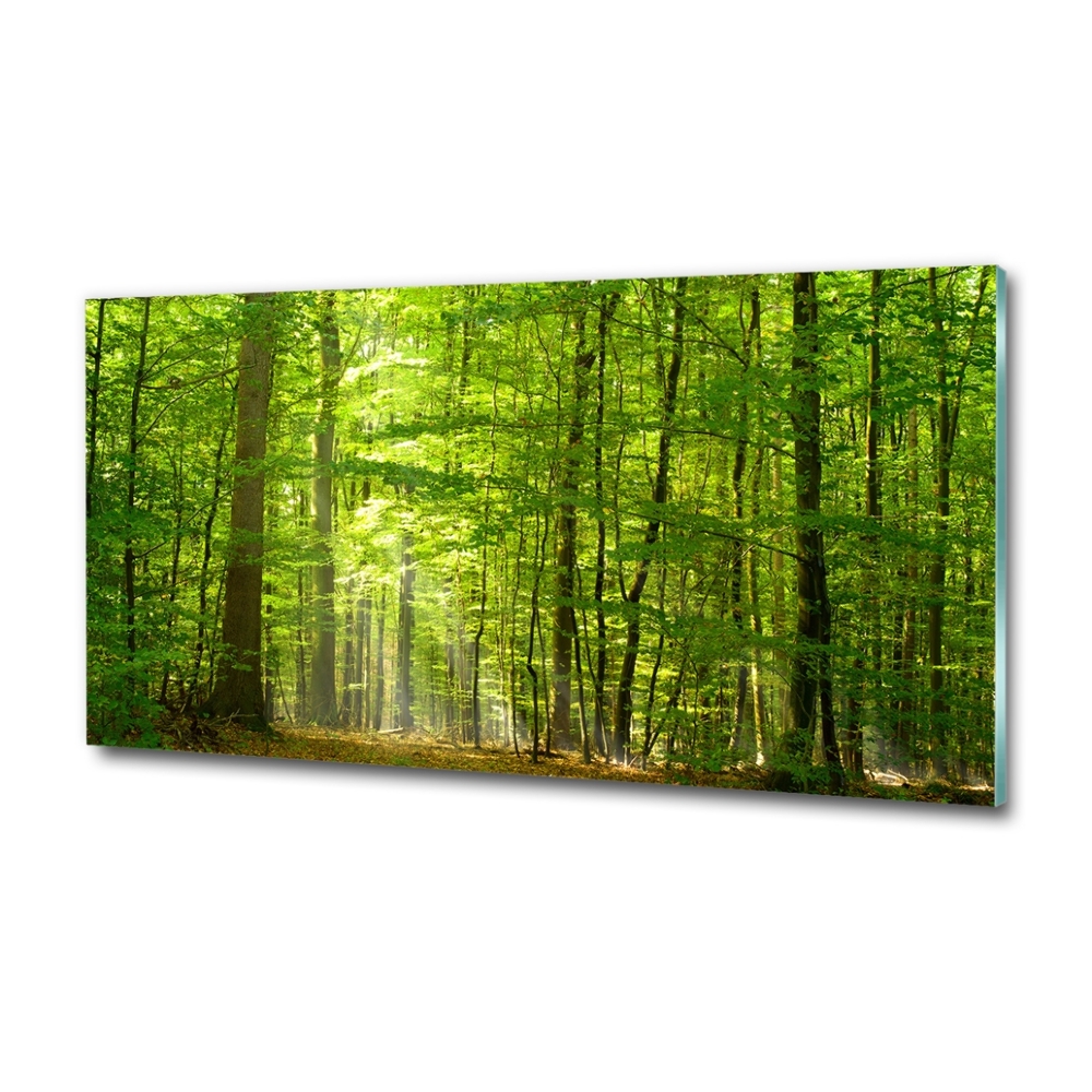 Tableau verre imprimé Forêt de feuilles