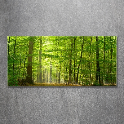 Tableau verre imprimé Forêt de feuilles