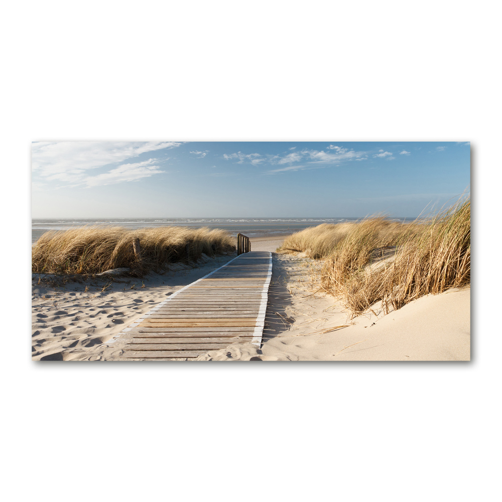 Tableau photo sur verre Chemin sur la plage