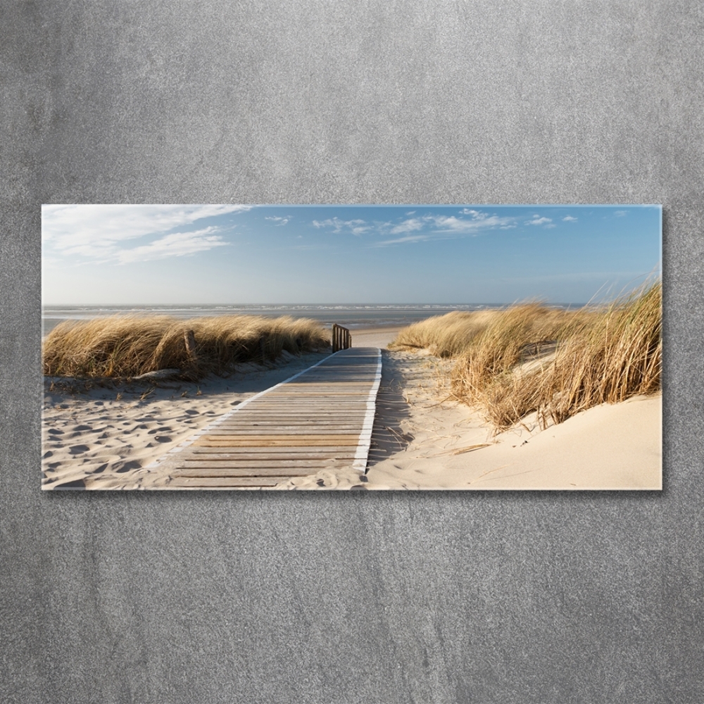 Tableau photo sur verre Chemin sur la plage