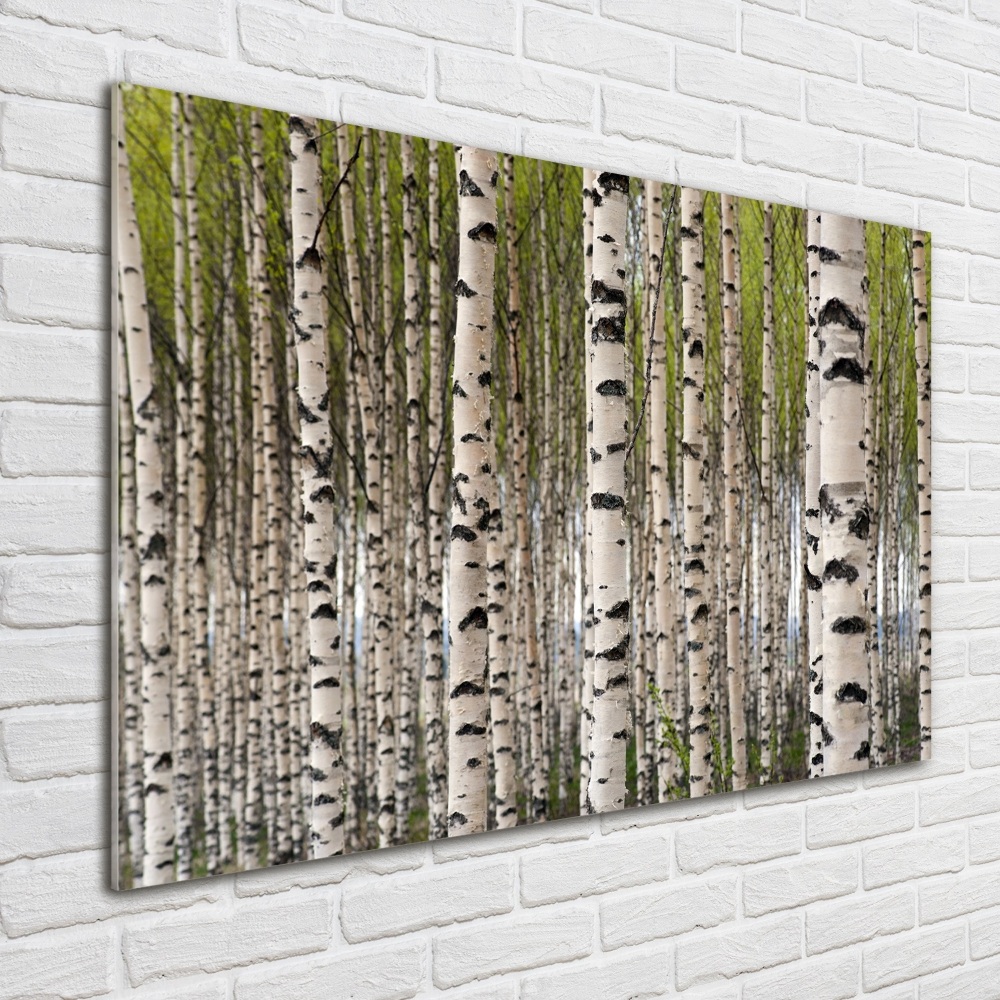 Tableau verre imprimé Forêt de bouleaux