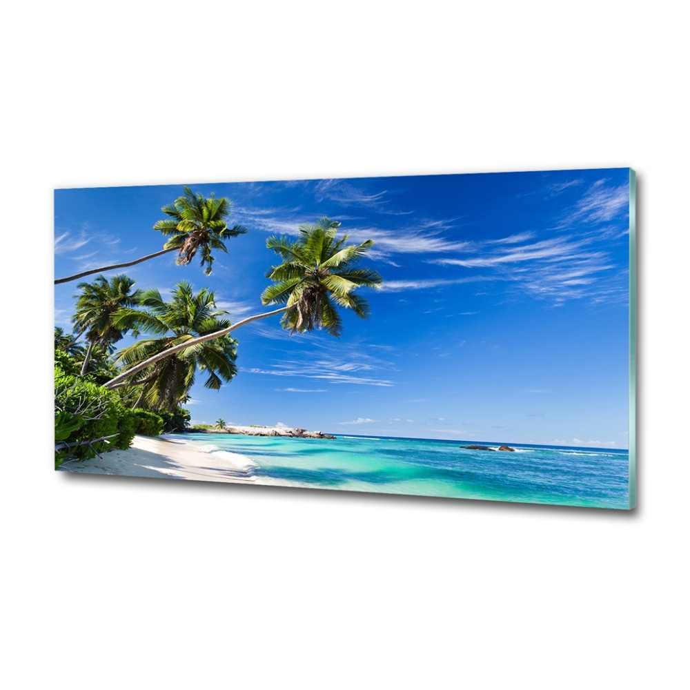 Tableau sur verre Plage tropicale palmiers ciel