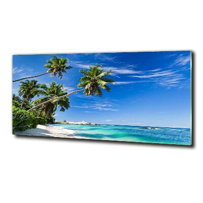 Tableau sur verre Plage tropicale palmiers ciel