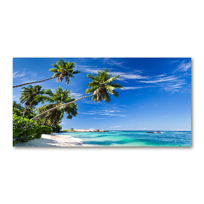 Tableau sur verre Plage tropicale palmiers ciel