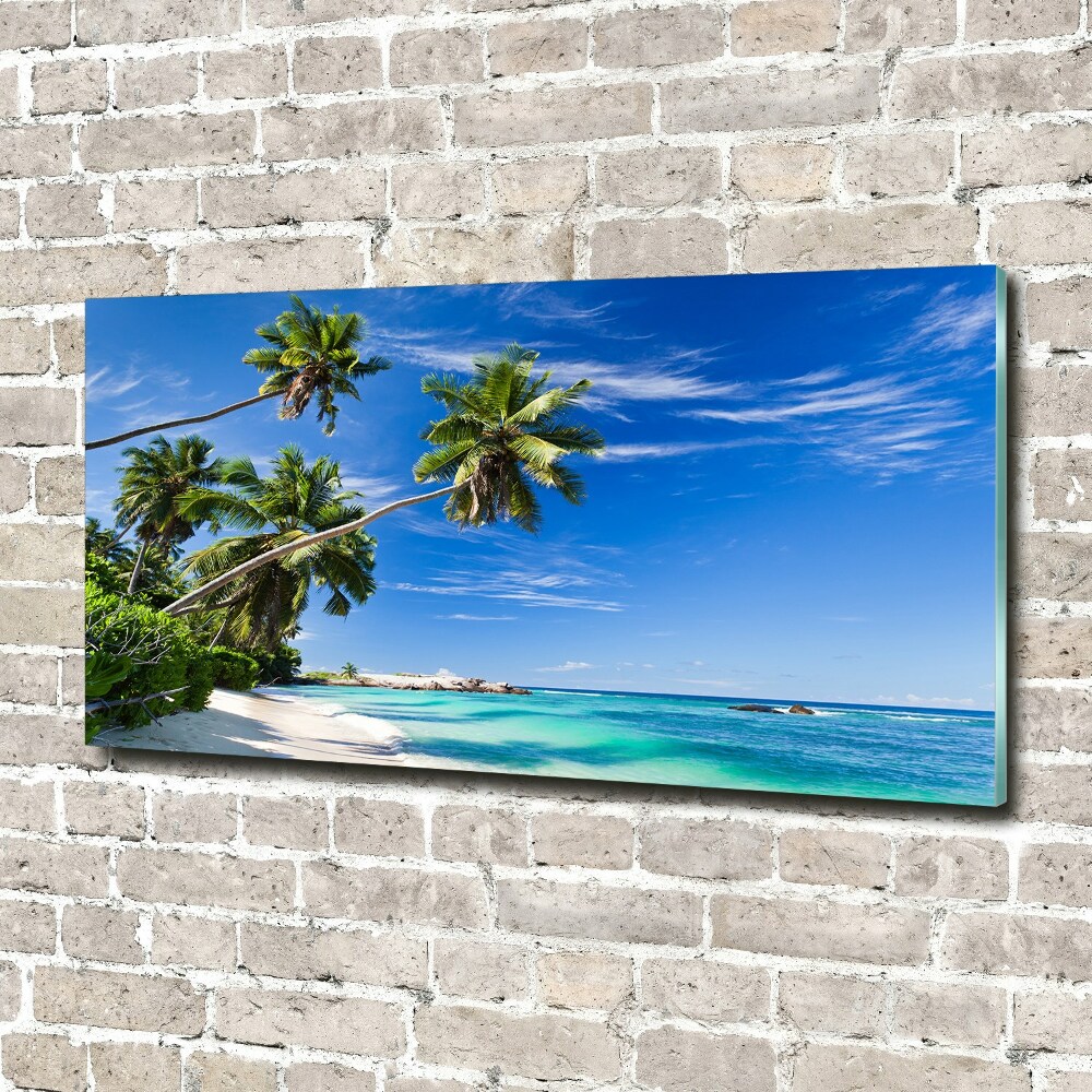 Tableau sur verre Plage tropicale palmiers ciel