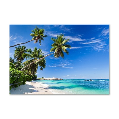 Tableau sur verre Plage tropicale palmiers ciel