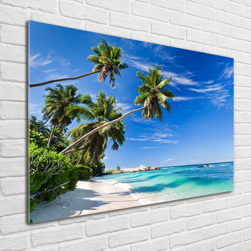 Tableau sur verre Plage tropicale palmiers ciel