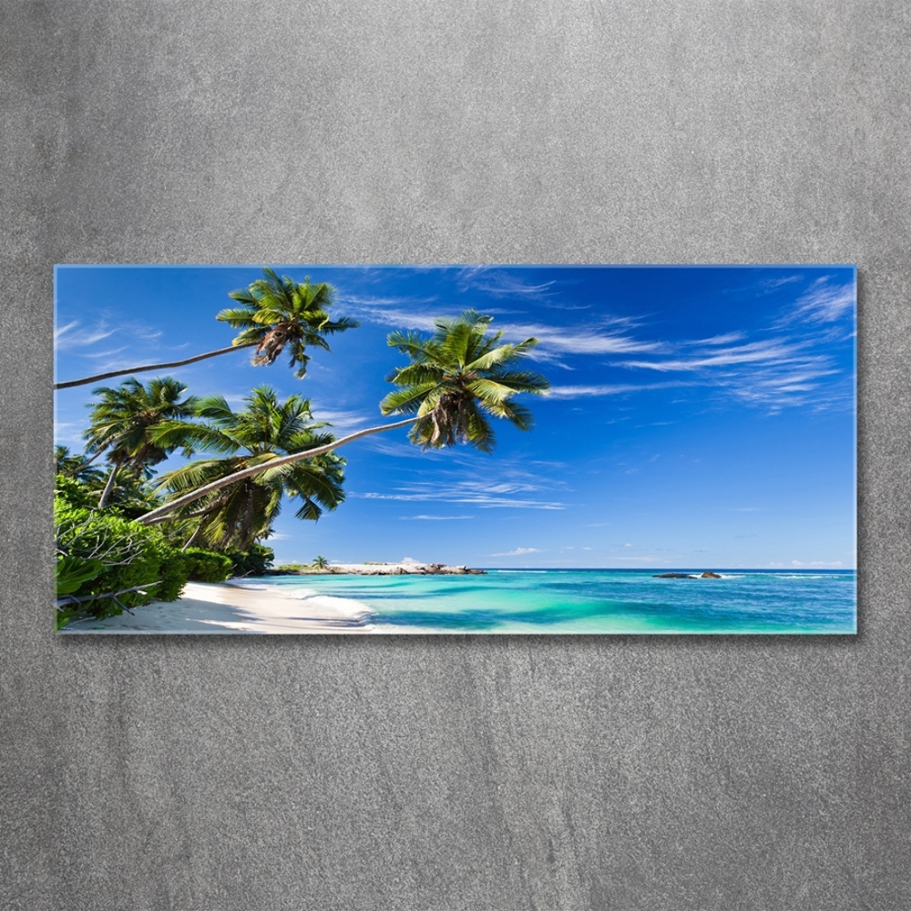 Tableau sur verre Plage tropicale palmiers ciel