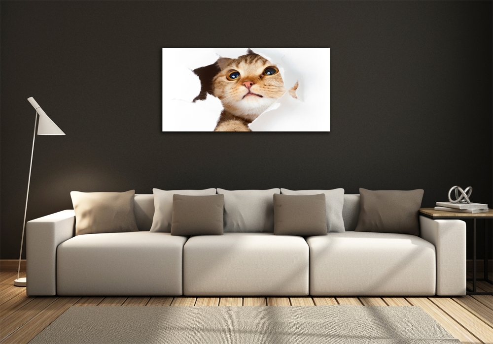 Tableau photo sur verre Chat dans un trou