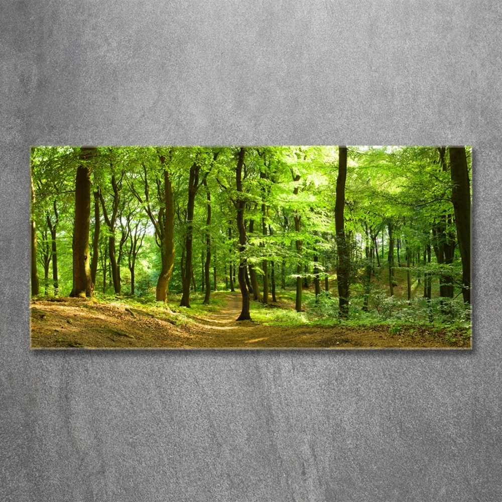 Tableau en verre Sentier forestier