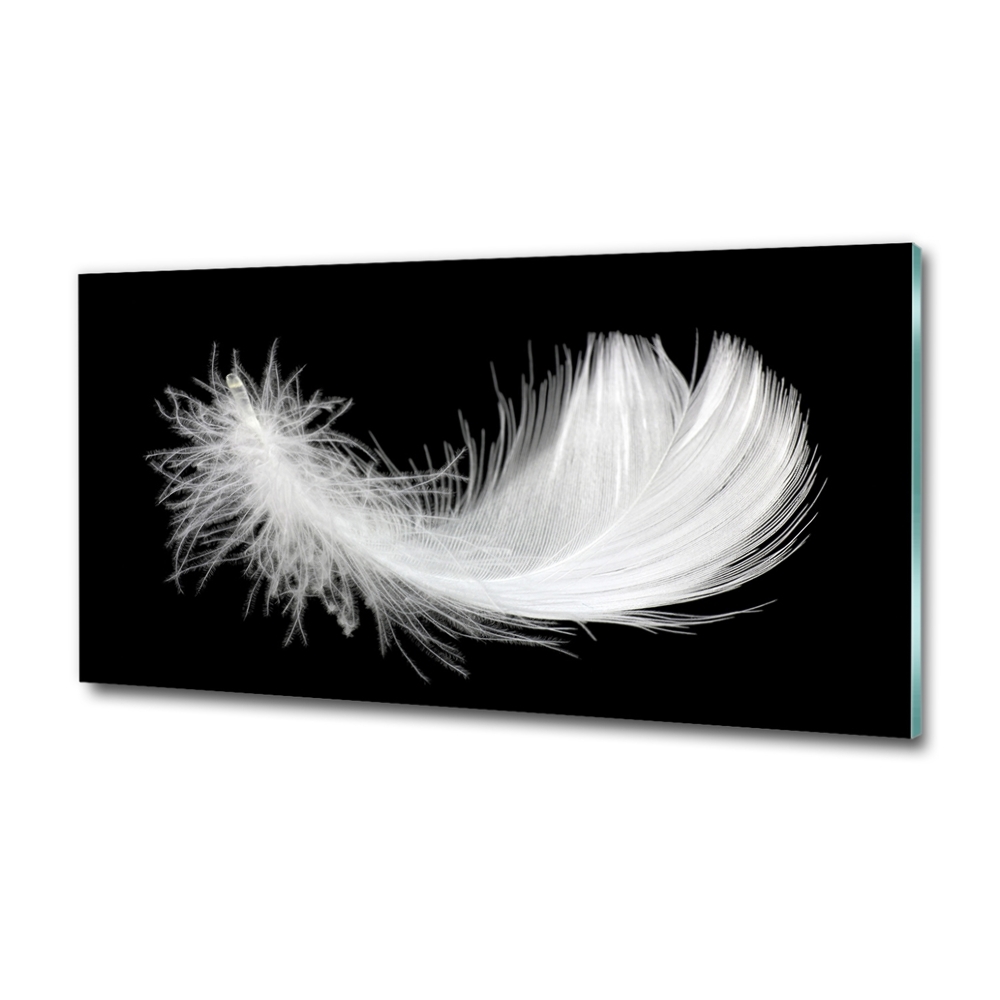 Tableau sur verre Plume