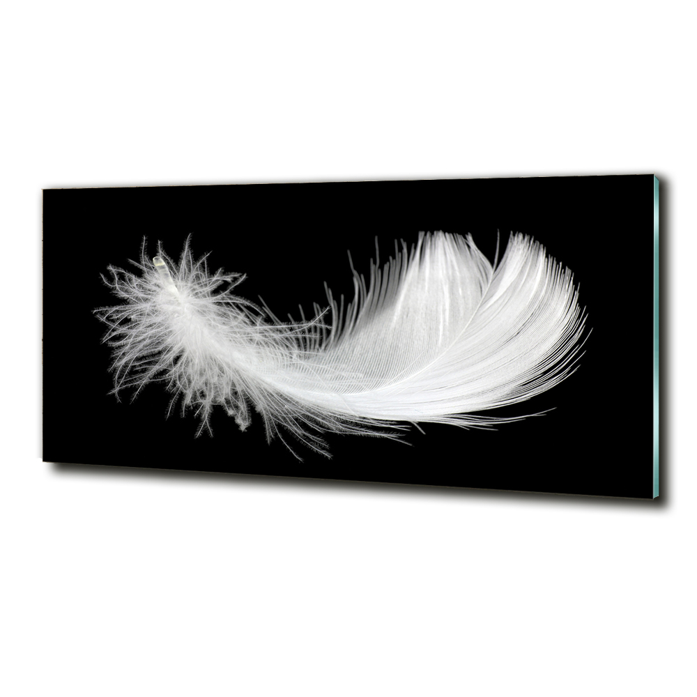 Tableau sur verre Plume