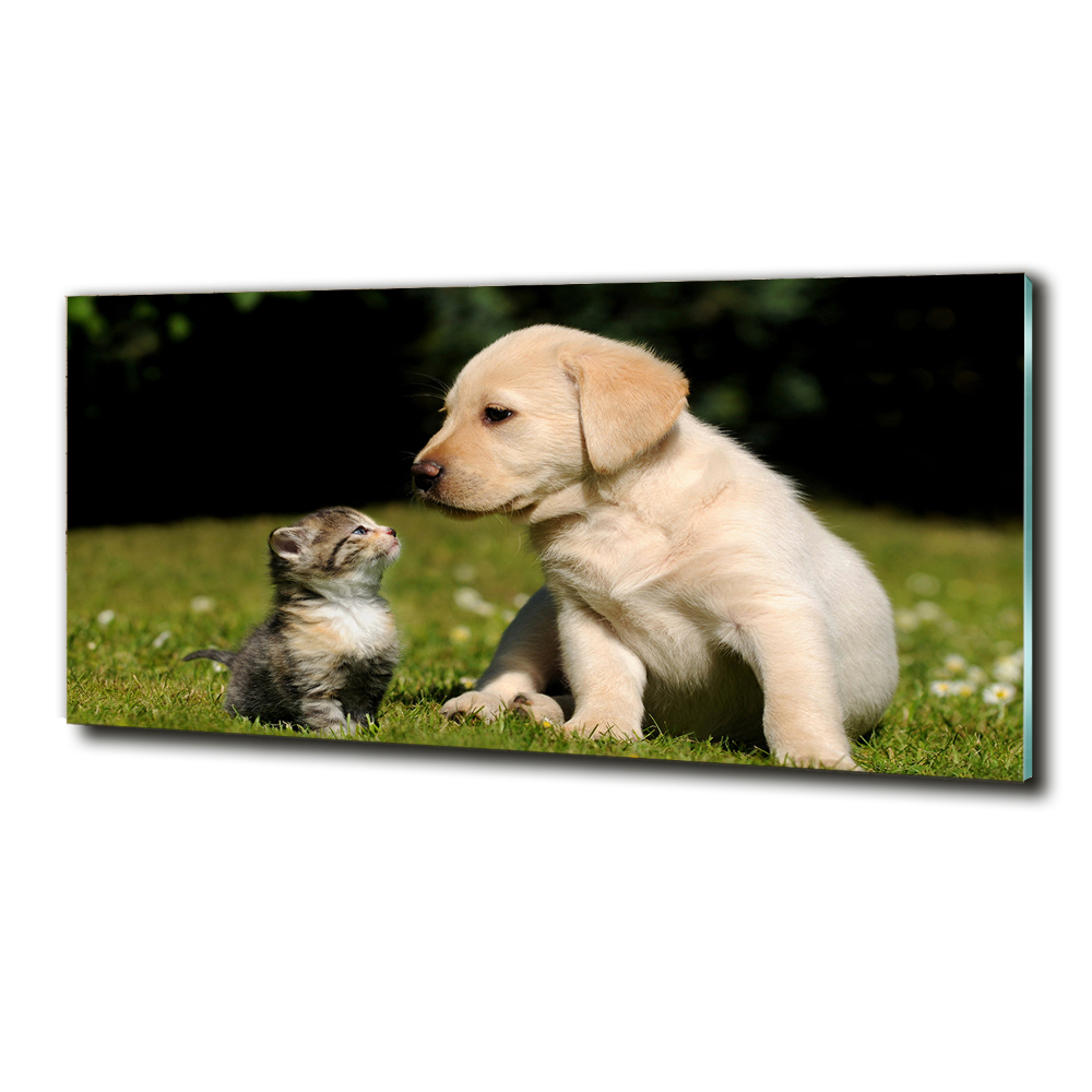 Tableau sur verre Chien et chat dans le pré