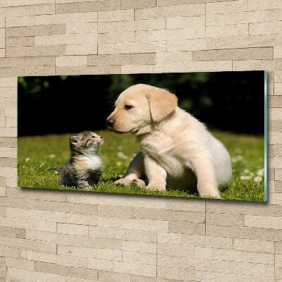 Tableau sur verre Chien et chat dans le pré