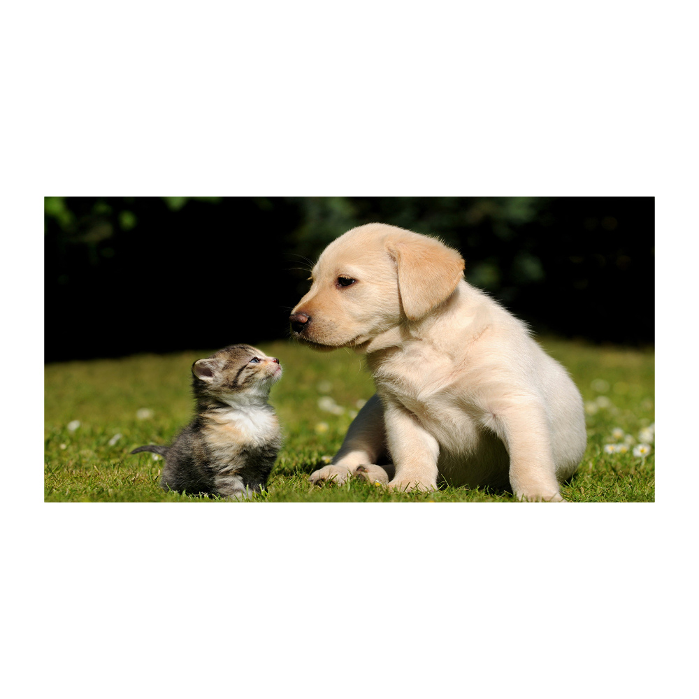 Tableau sur verre Chien et chat dans le pré